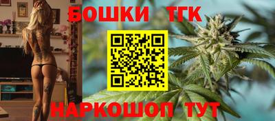 тгк Пугачёв