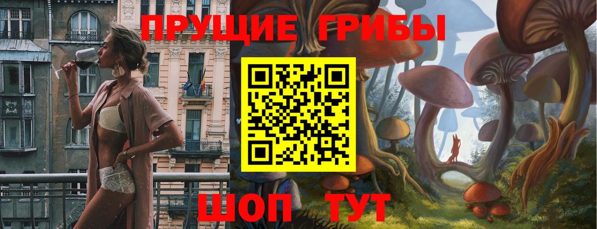 Серов  Галлюциногенные грибы Psilocybe  цена   Вход с VPN  Псилоцибиновые грибы мицелий 
