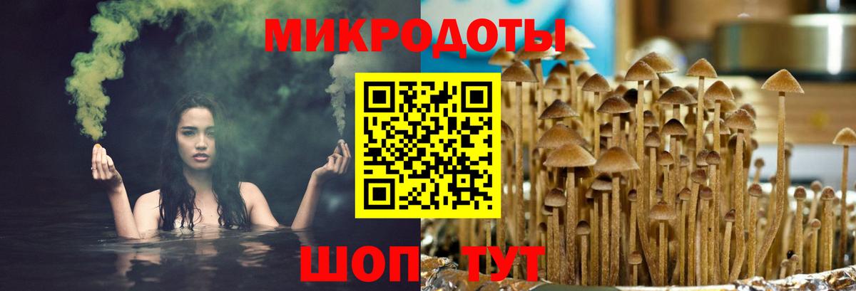 Псилоцибиновые грибы Magic Shrooms Серов